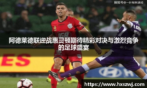 阿德莱德联迎战惠灵顿期待精彩对决与激烈竞争的足球盛宴
