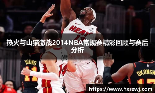 热火与山猫激战2014NBA常规赛精彩回顾与赛后分析